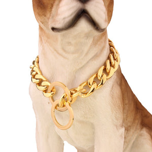 DOG MULTI COLOUR CHAIN COLLAR